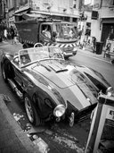 Beauty and the Beast