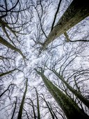 Fête des Lumières 2014 - Lyon