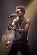 Wolfest Espace Julien